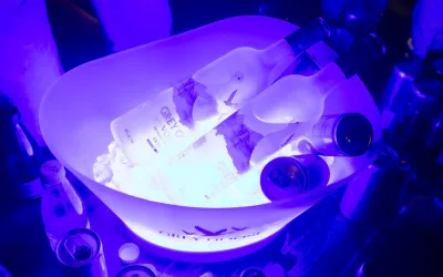Galerija: ⚡️GREY GOOSE - 5TH ELEMENT PARTY⚡️ - petak, 16.05 - 2
