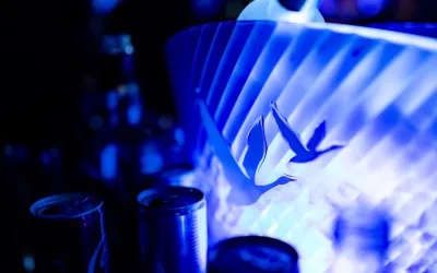 Galerija: ⚡️GREY GOOSE - 5TH ELEMENT PARTY⚡️ - petak, 16.05 - 0