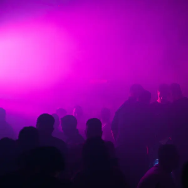 GoldenCube Mostar - 🐰 HUNT OR BE HUNTED 🐰